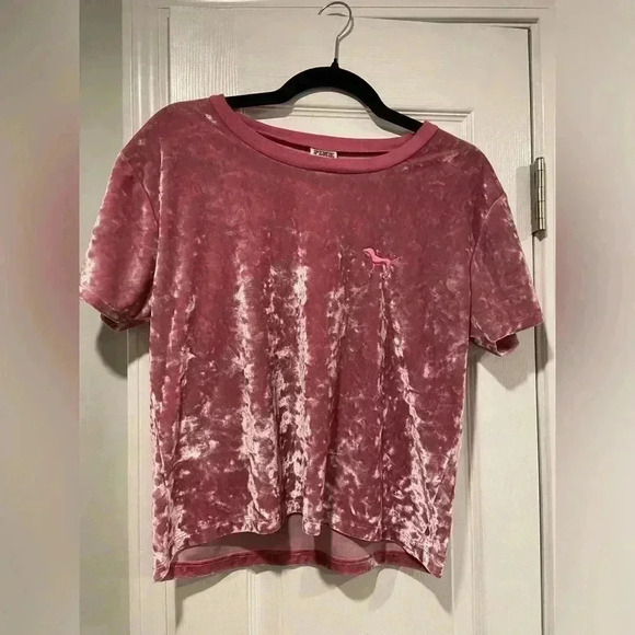 Victoria’s Secret PINK Crushed Velvet Crop Top Cree Neck Dog Logo Size Medium - Picture 1 of 10
